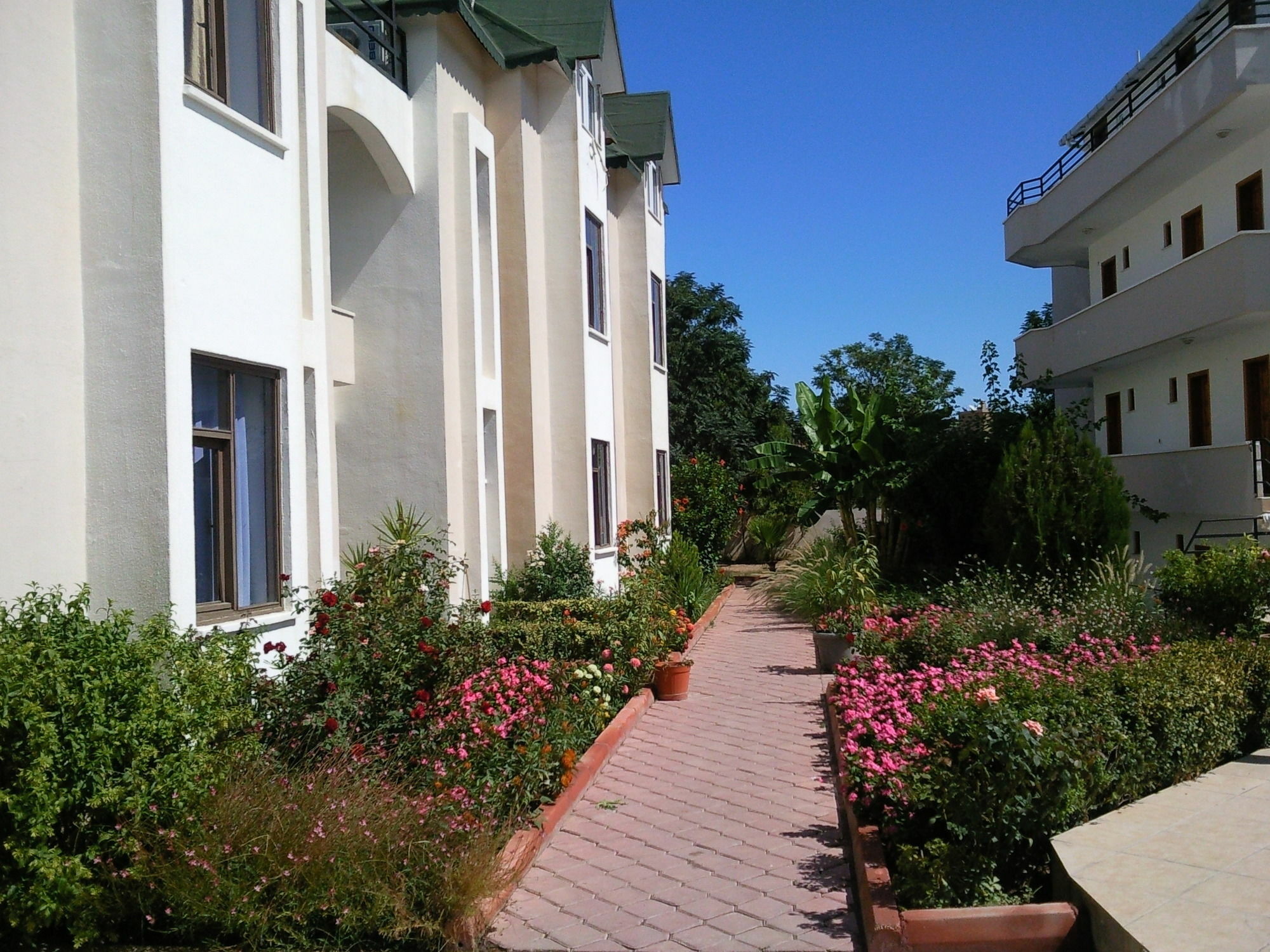 Ares Hotel Kemer Exteriör bild